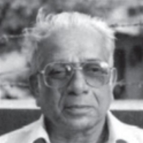 V. S. Walimbe | वि. स. वाळिंबे